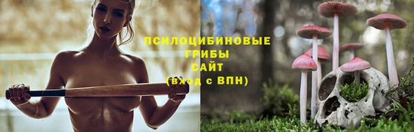 ГАЛЛЮЦИНОГЕННЫЕ ГРИБЫ Волосово