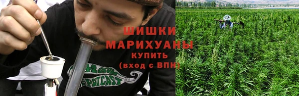 ГАЛЛЮЦИНОГЕННЫЕ ГРИБЫ Волосово