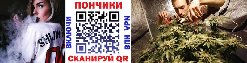 МАРИХУАНА White Widow  Купить закладки  Гурьевск 